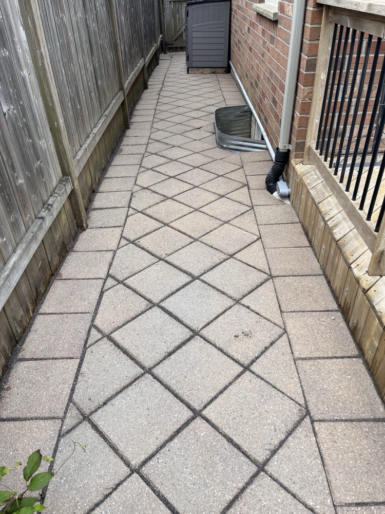 Polymeric sand paver walkway in London, Ontario