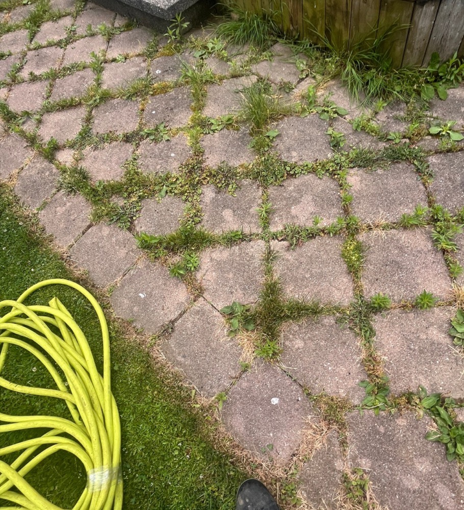 Project 1 before power washing in London, Ontario