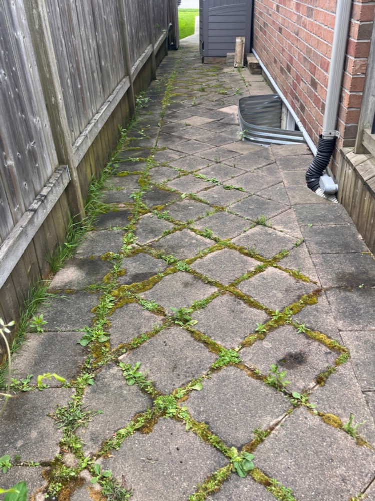 Project 20 before power washing in London, Ontario