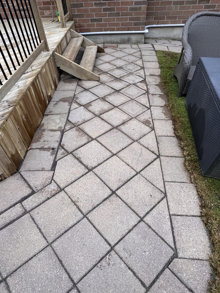 Clean diamond-pattern paver patio after polymeric sand in London, Ontario