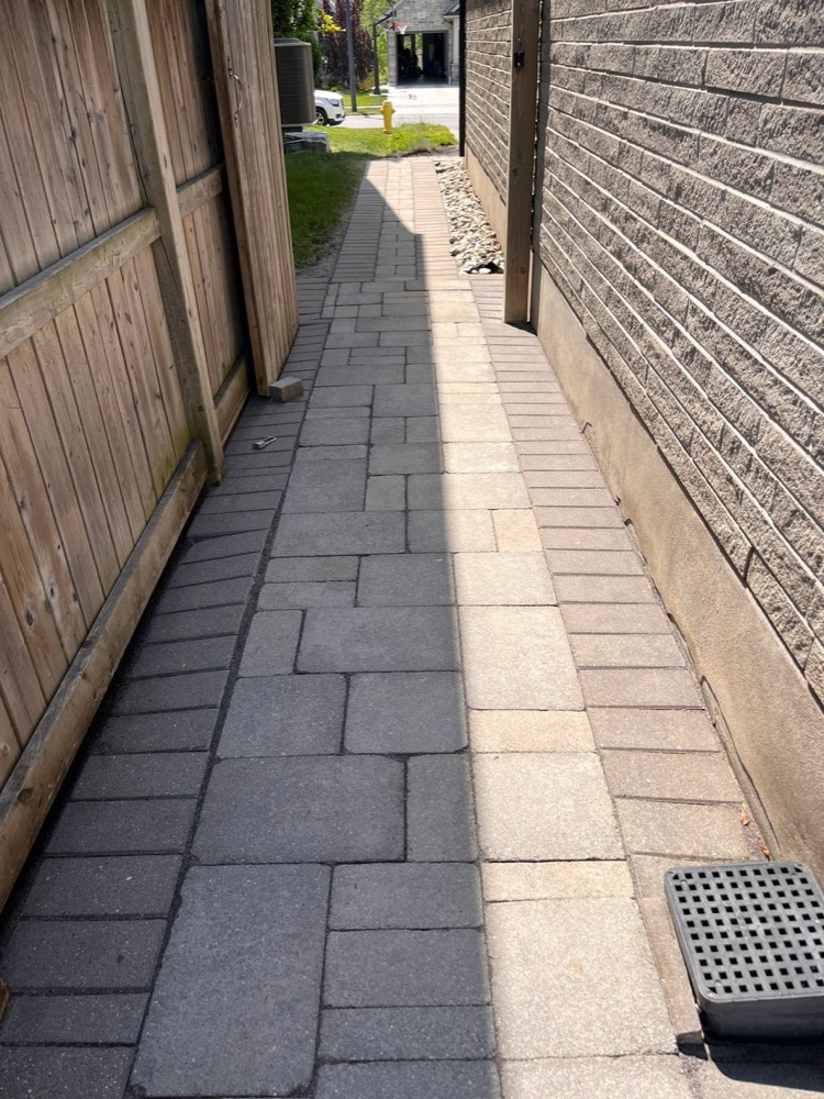 Freshly sanded paver walkway after polymeric sand in London, Ontario