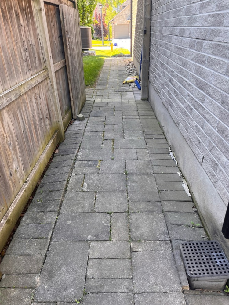 Worn paver walkway before polymeric sand in London, Ontario