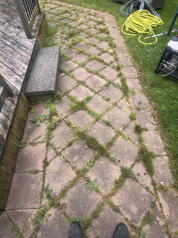 Project 3 before power washing in London, Ontario