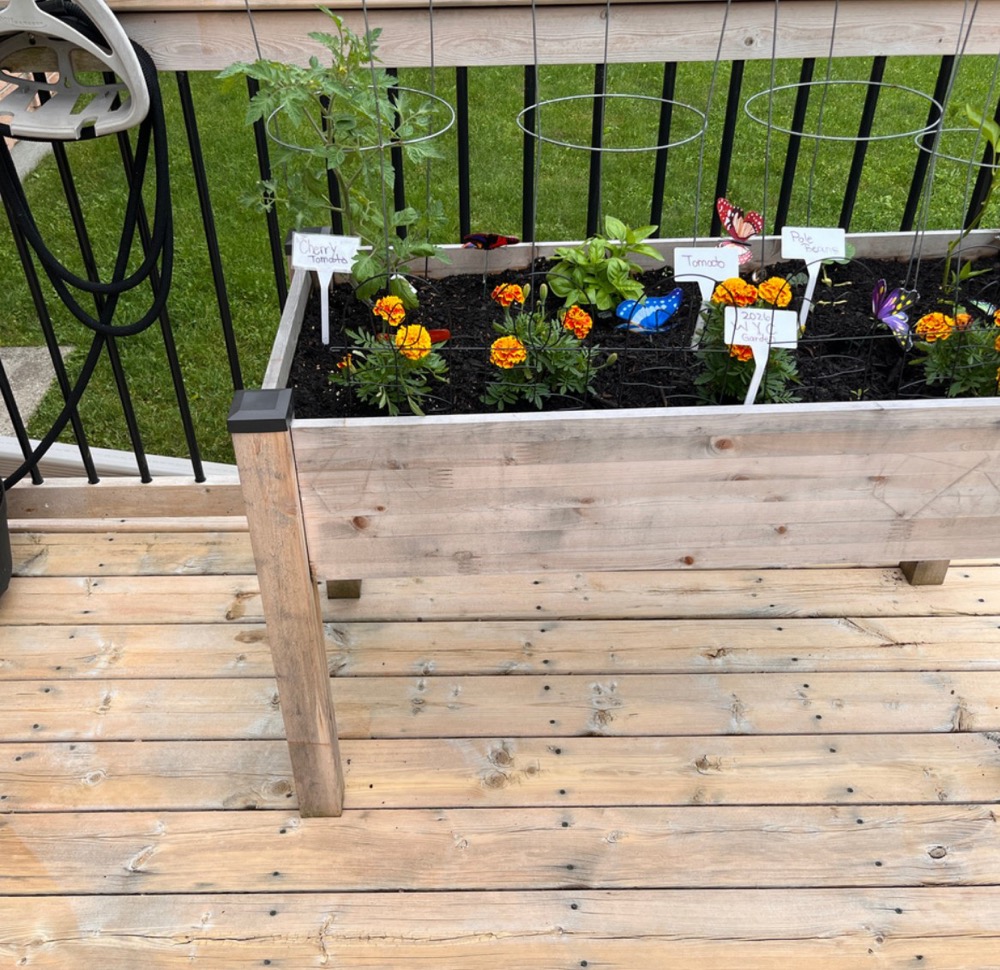 Project 6 after power washing in London, Ontario